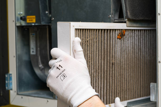 Best Affordable Air Duct Cleaning  in Granger, IN